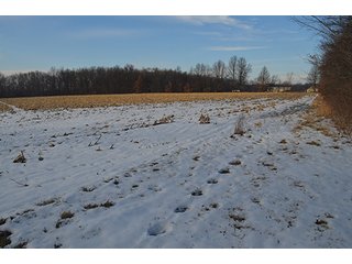 Property photo 8 - FARMLAND AUCTION, 60+/- Acres in 6 Tracts ranging from 4 to 20 acres & in combinations!